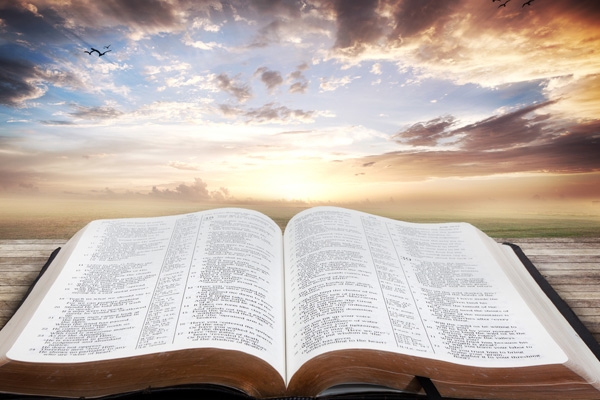 最新！2022年QS世界大學(xué)排名發(fā)布，MIT全球第一！清華北大擠進(jìn)前20！